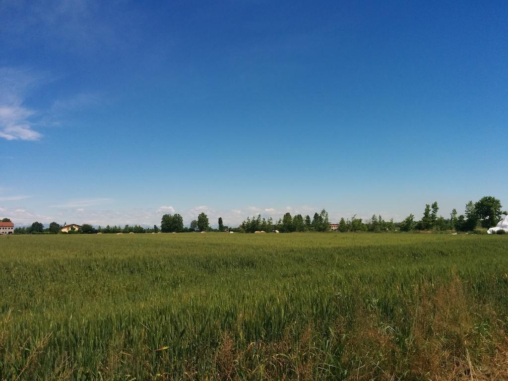 Agriturismo La Chioccia Campagna Lupia Dış mekan fotoğraf